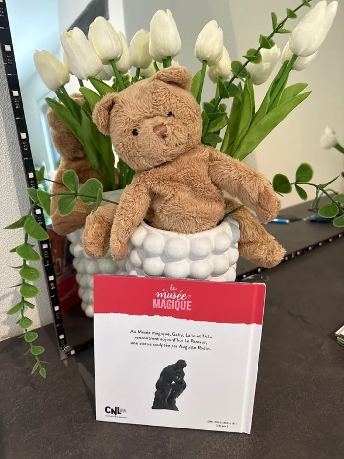 Livre Mac do neuf le penseur - photo numéro 2