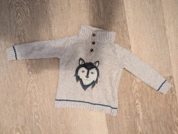 Pull loup