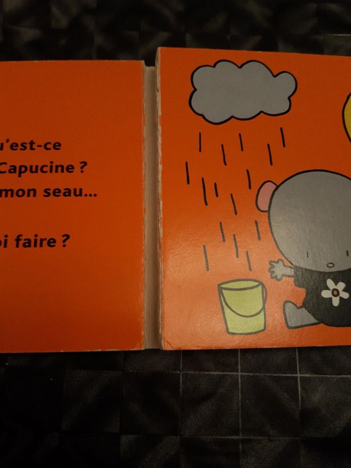 Livre capucine la souris - photo numéro 2