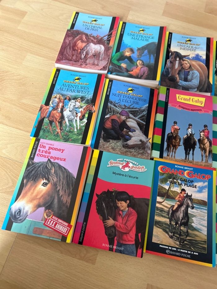 Livre grand galop - photo numéro 2