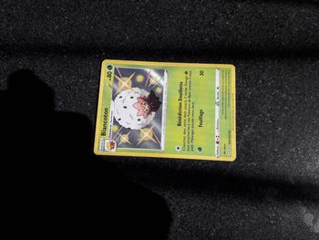 Blancoton carte Pokémon neuve
