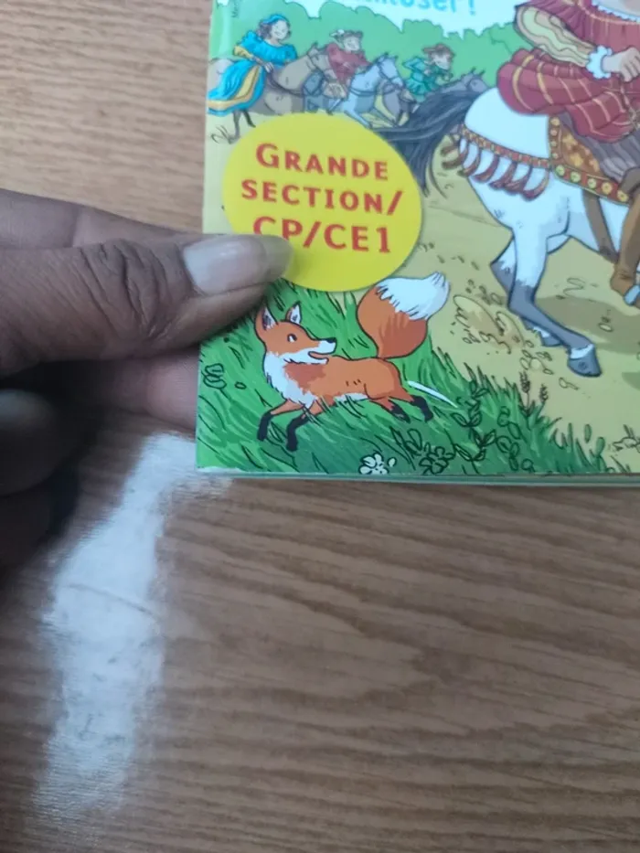 Livre youpi François 1er - photo numéro 2