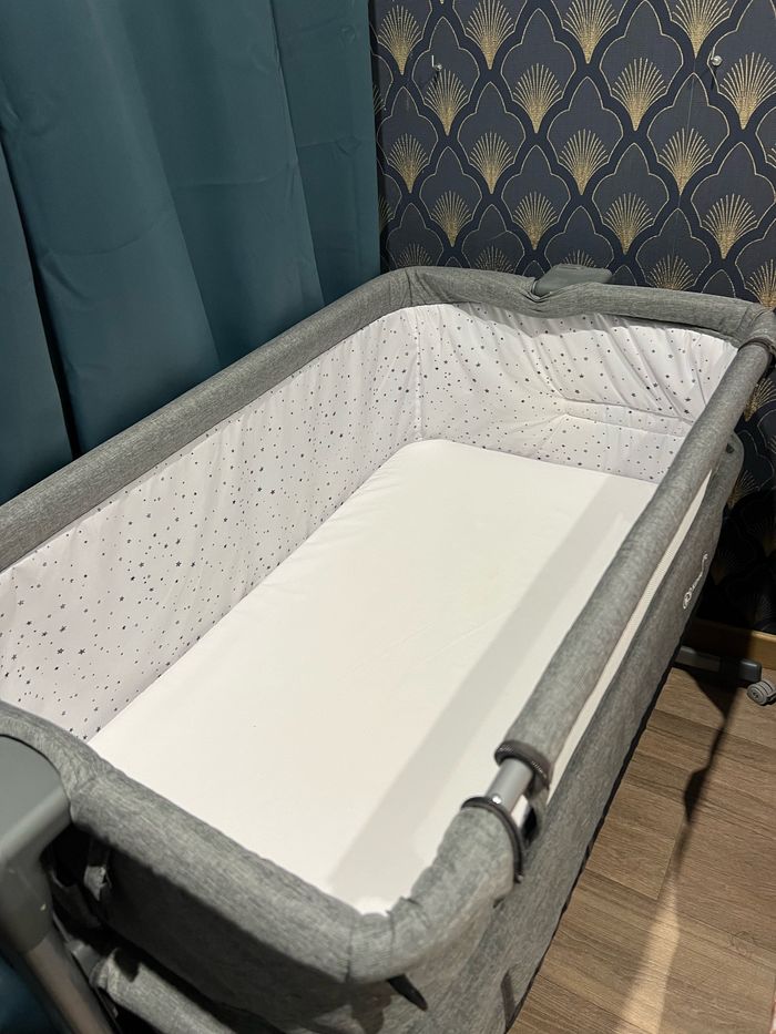 Cododo nestup - photo numéro 2