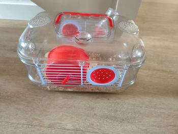 Cage hamster