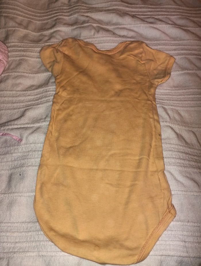 Lot de 3 body  petit bateau 18 mois - photo numéro 8