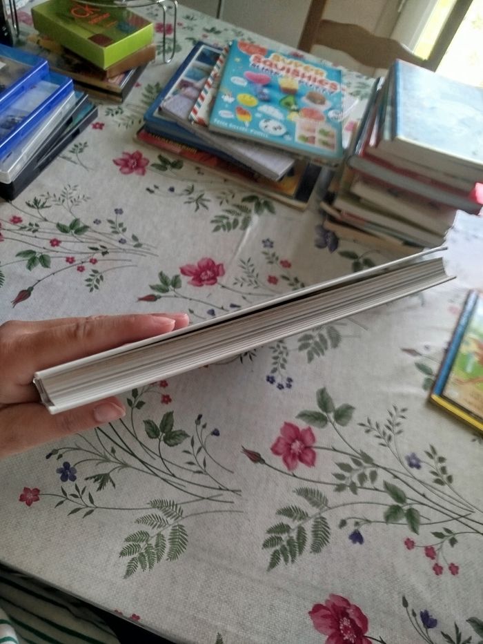 Livre des histoires du soir - photo numéro 2