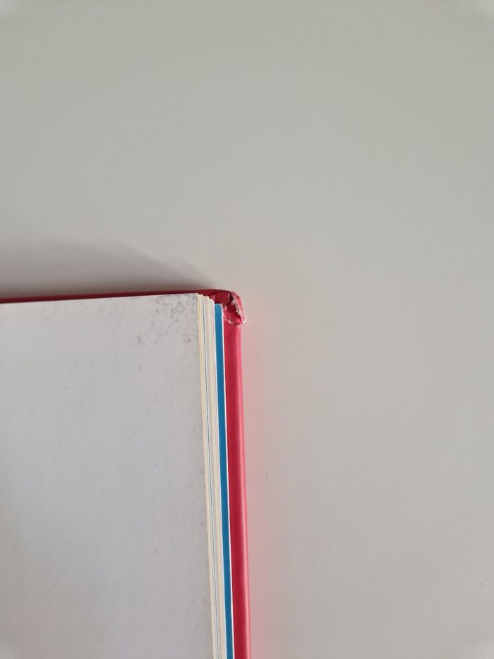Livre t'choupi 5 histoires - photo numéro 6