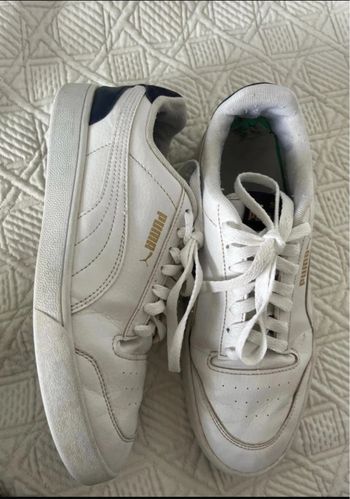 Puma 41