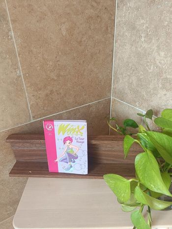 Livre Winx enfant