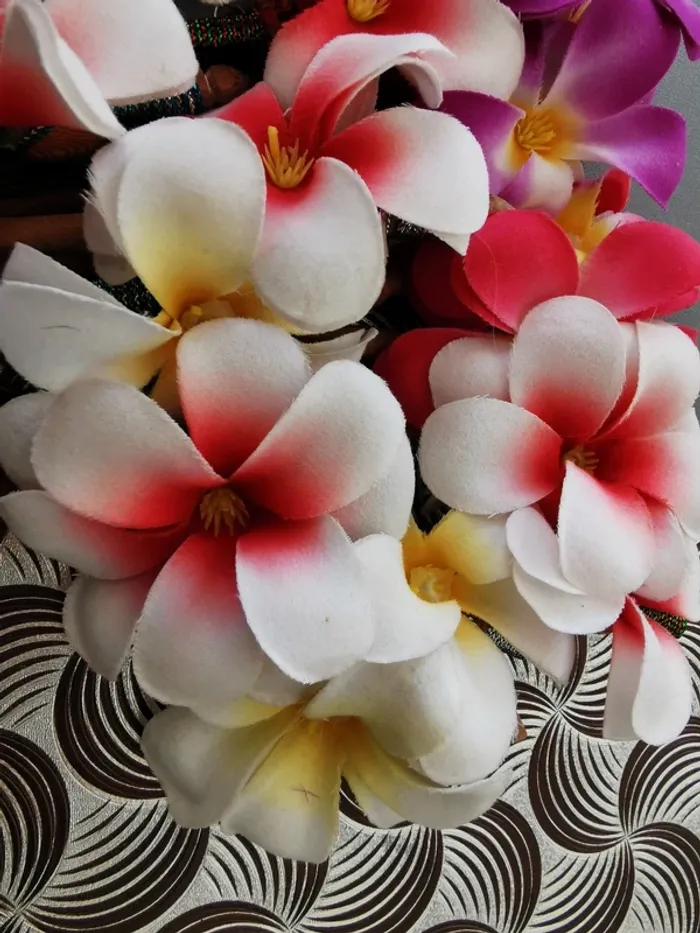 Lot Pic cheveux déco, coiffure fête fleurs - photo numéro 2