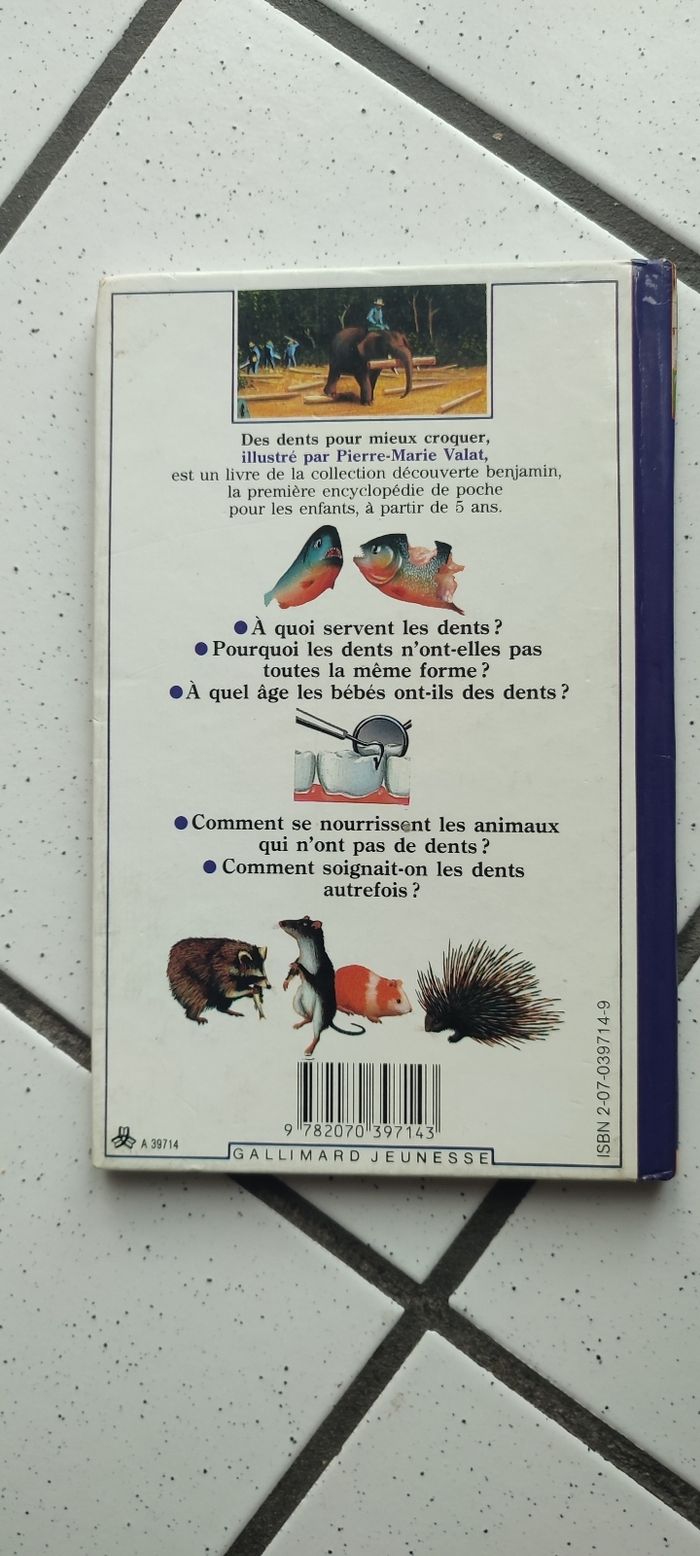 Des dents pour mieux croquer - photo numéro 2