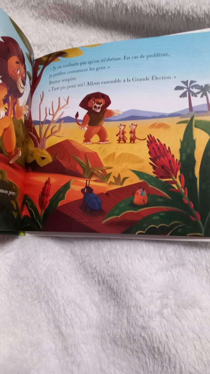 Livre - photo numéro 2