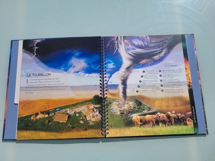 Livre Éditions Rouge et Or 🌪Les Catastrophes Naturelles 🌌 L'Oeil de l'explorateur - photo numéro 10