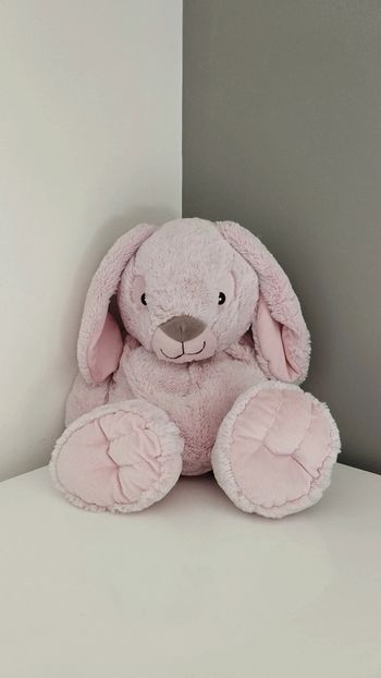 Gros lapin rose