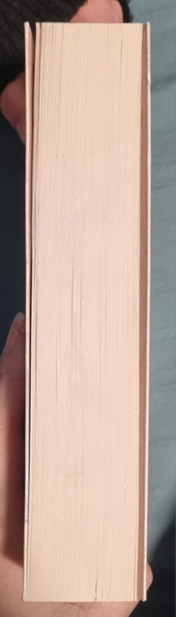 Gros livre Mia princesse malgré elle - photo numéro 4