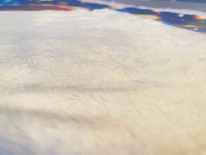 Couverture ours - photo numéro 6