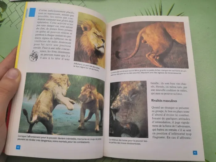 Livre "Le lion" - photo numéro 5