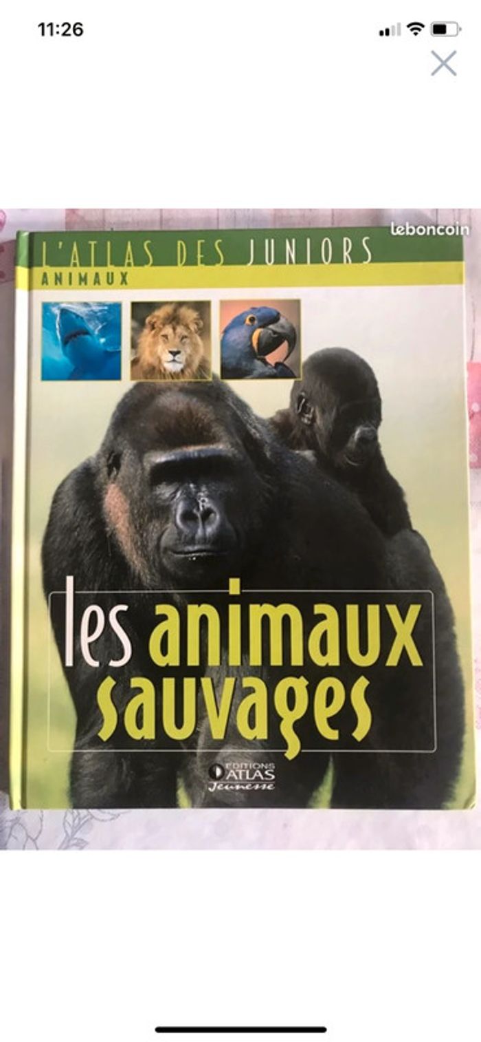 L’atlas junior les animaux sauvages