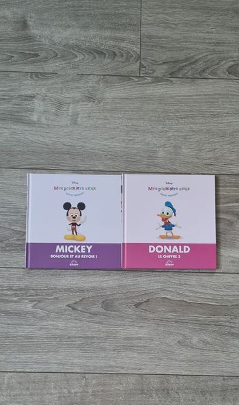 Livre Mickey et Donald