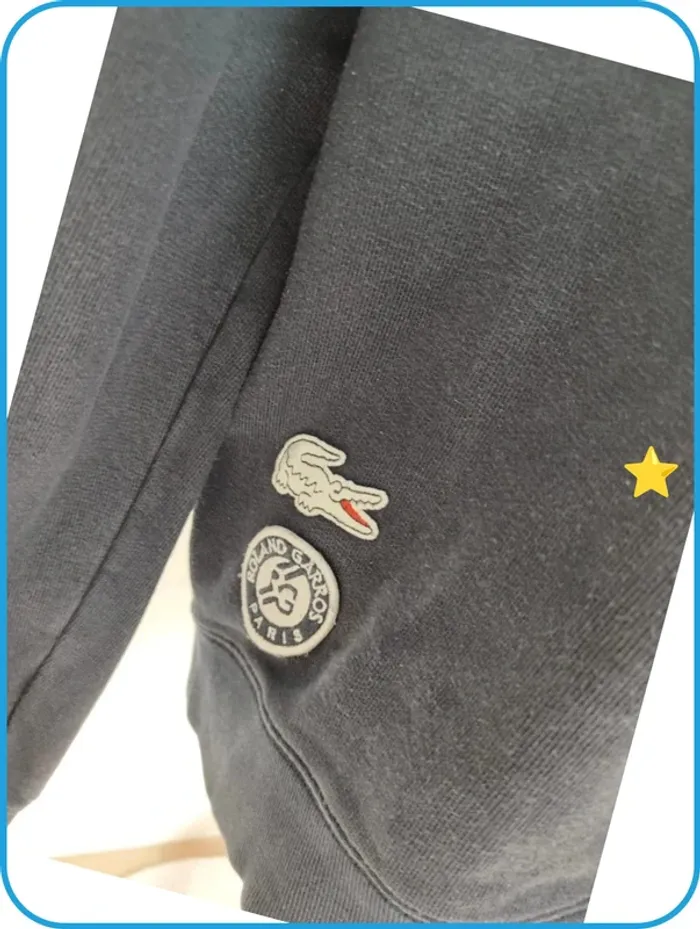 Sweat Lacoste homme - photo numéro 2