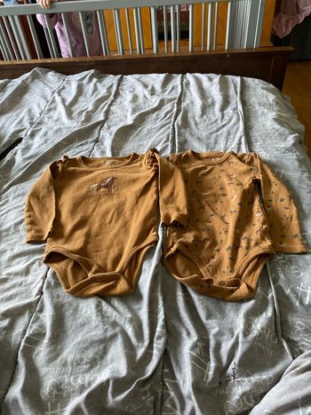 Lot de body de la même collection taille 24 mois