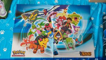 Grand Poster Pokemon Wakfu mangas vintage Sacha ash pikachu Pierre ankama