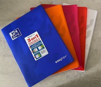 Lot 5 cahiers Oxford easybook 24x32cm