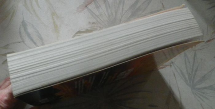 Opération Wild Fire de Nelson Demille Ed. Michel Lafon - photo numéro 4