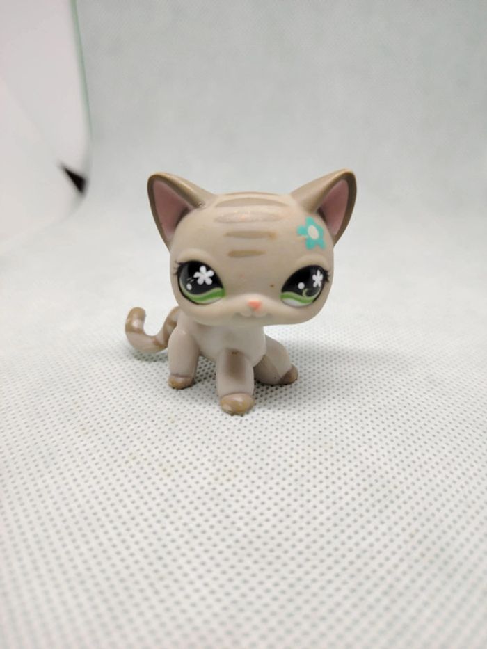 Petshop Littlest petshop chat européen #483