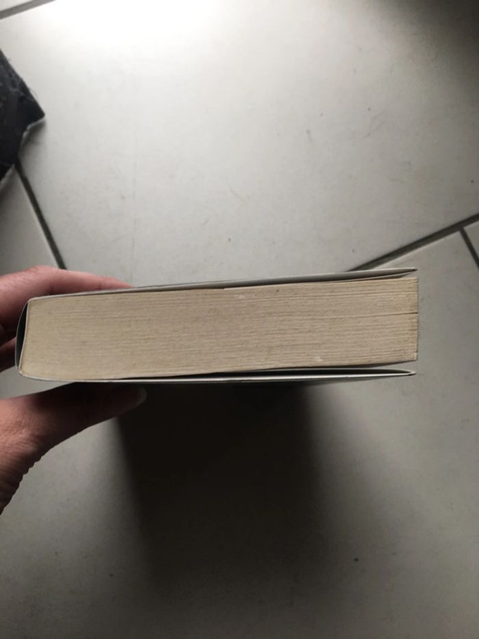 Livre Broché Le pas de Merlin Tome 1 - photo numéro 7
