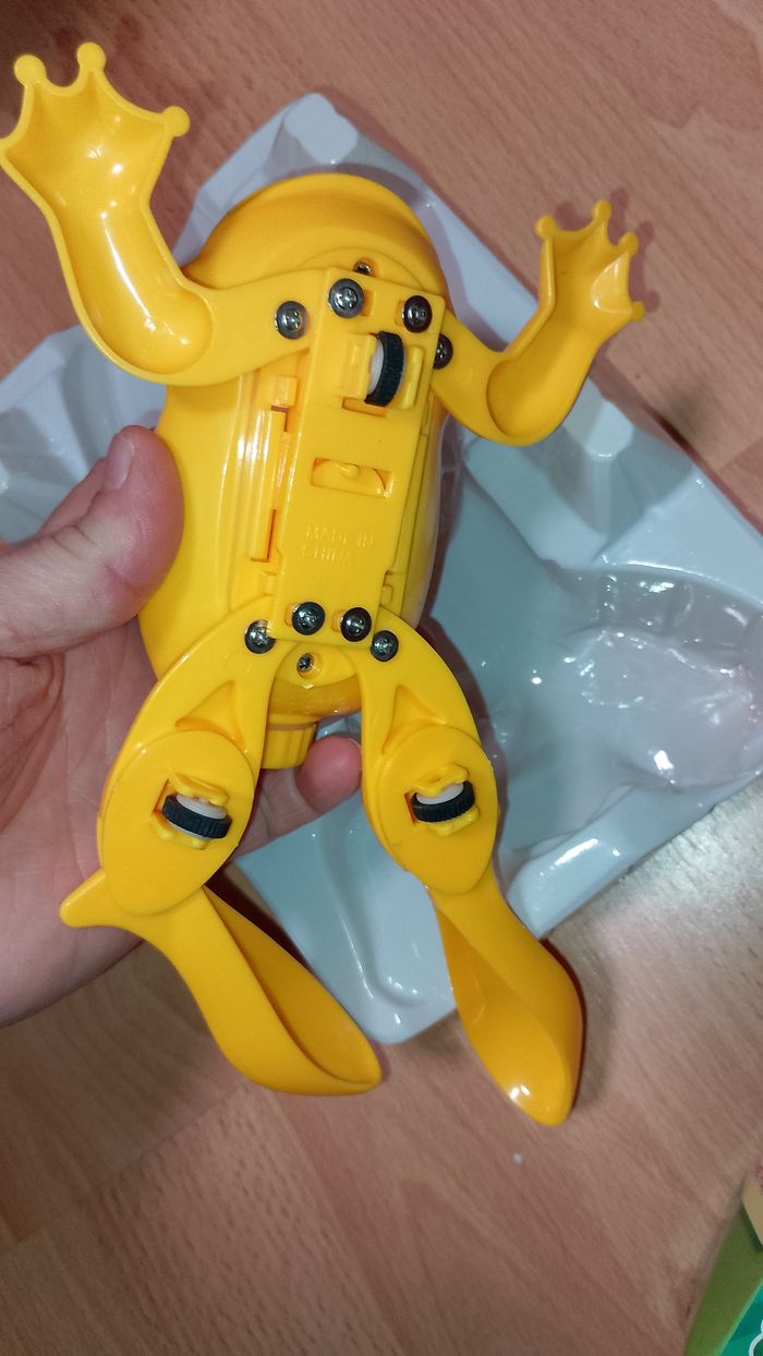 Grenouille bain, piscine - photo numéro 4