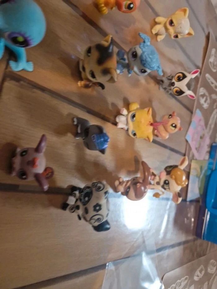 Lot petshop - photo numéro 8