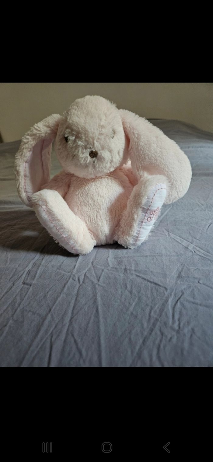 Augustin le lapin