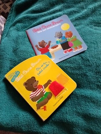2 livres petit ours 