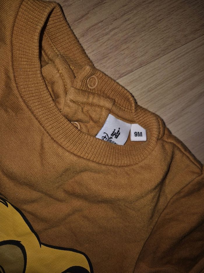 Pull simba - photo numéro 3