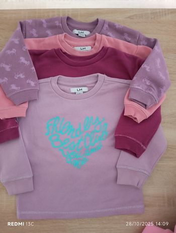 Lot de 10 pulls fille