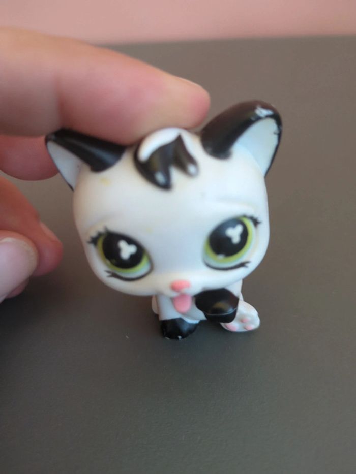 littlest petshop chat - photo numéro 3