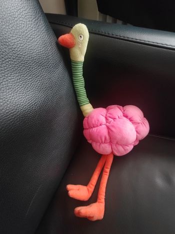 Doudou peluche autruche