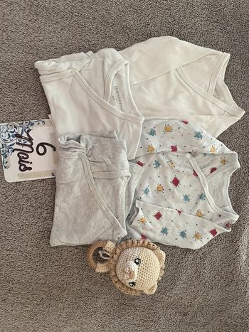 Lot 4 bodies