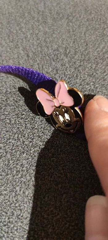 Pin's Minnie