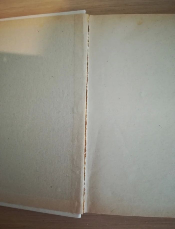 Candy au collège - photo numéro 4