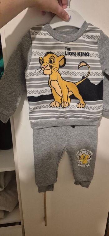 Ensemble simba