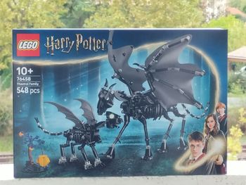 Harry Potter la famille de sombrals 