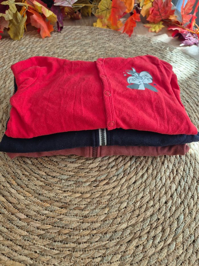 Lot de 3 vestes sweat  zippées 3 ans - photo numéro 10