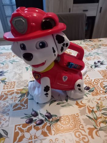 Chien Marcus pat patrouille