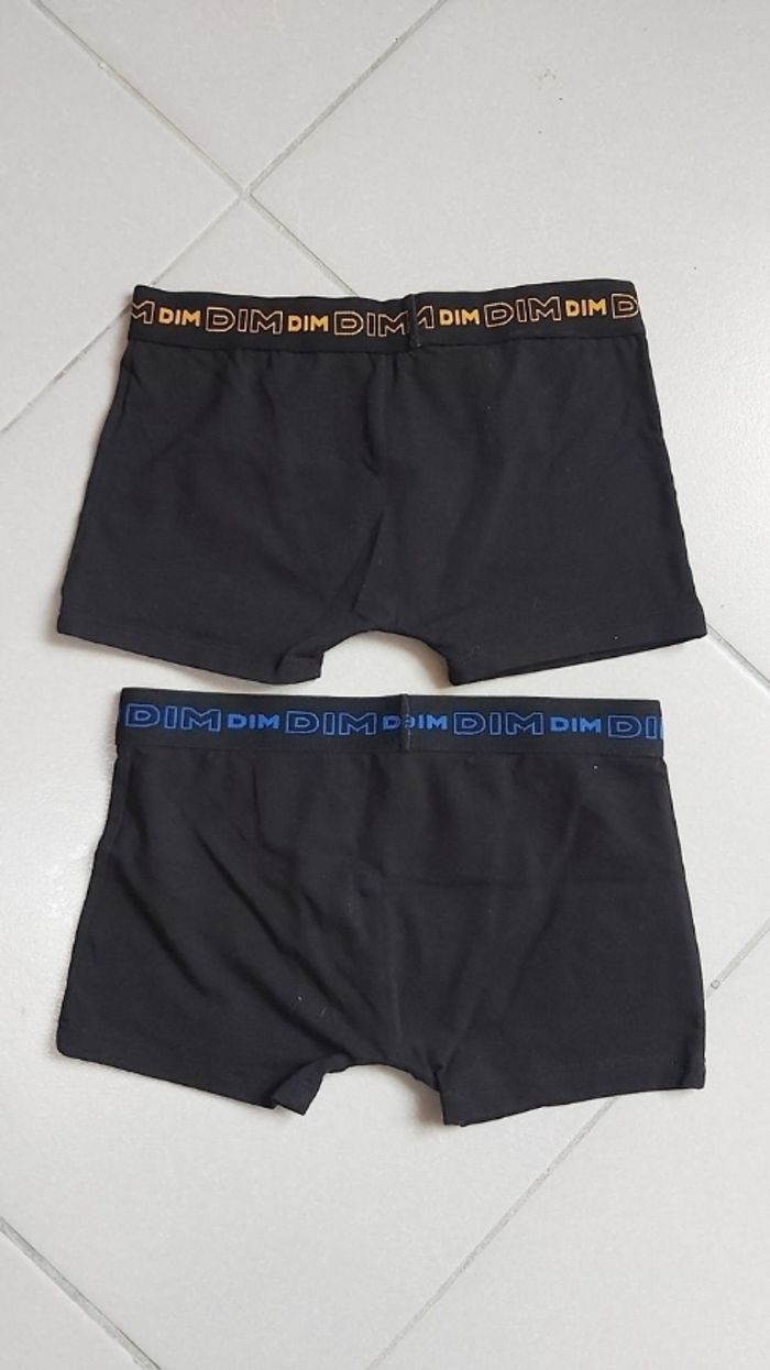 Boxer Dim 8 ans - photo numéro 2