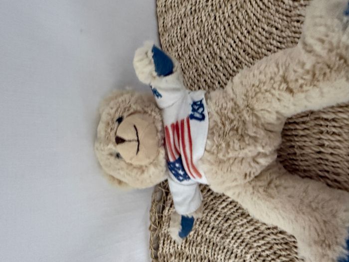 Histoire d'Ours Peluche Fashion Ours USA - photo numéro 3
