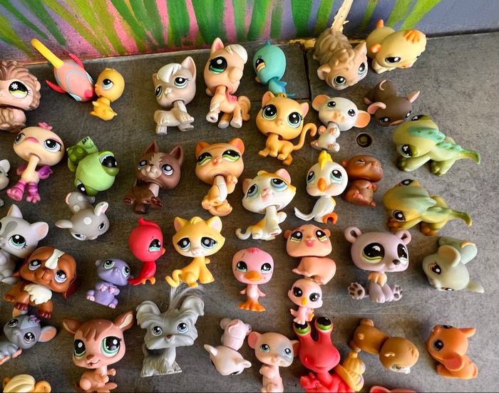 Little Petshop - photo numéro 10