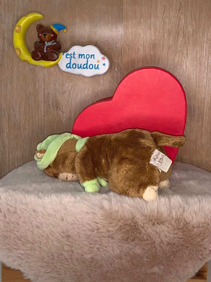 HD84 doudou marmotte 🦫 histoire d’ours - photo numéro 2