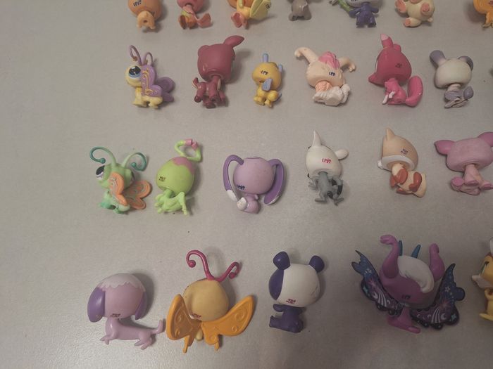 Lot 34 petshop - photo numéro 7
